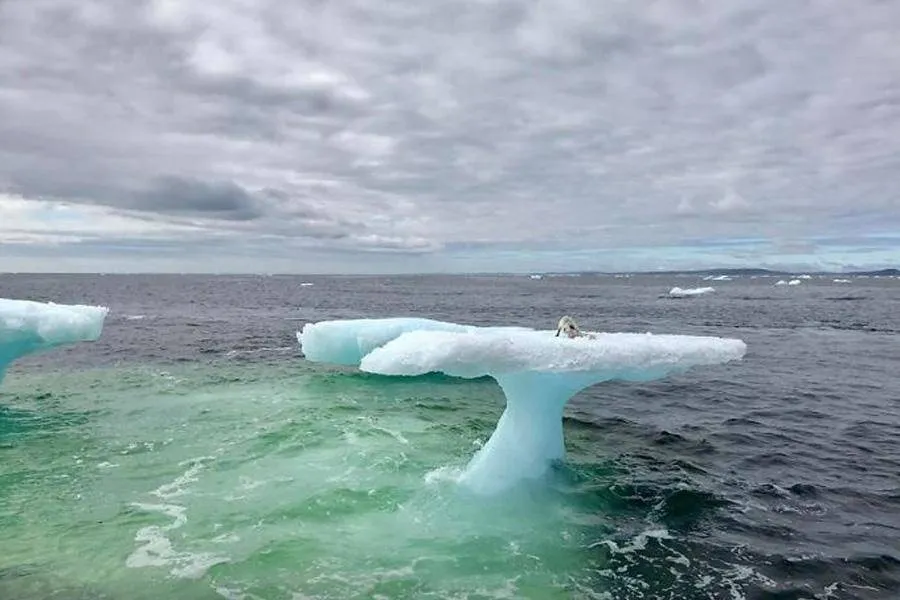 Iceberg, Straight Ahead!