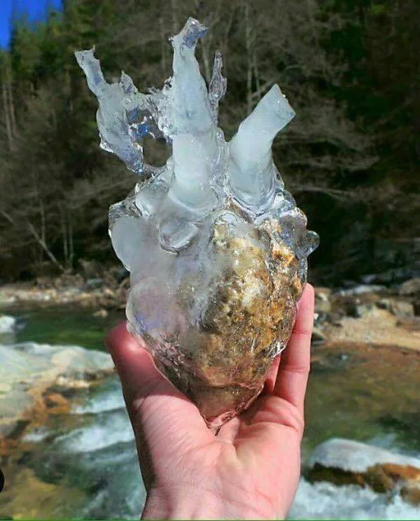 frozen rock that looks like a heart held up near a lake