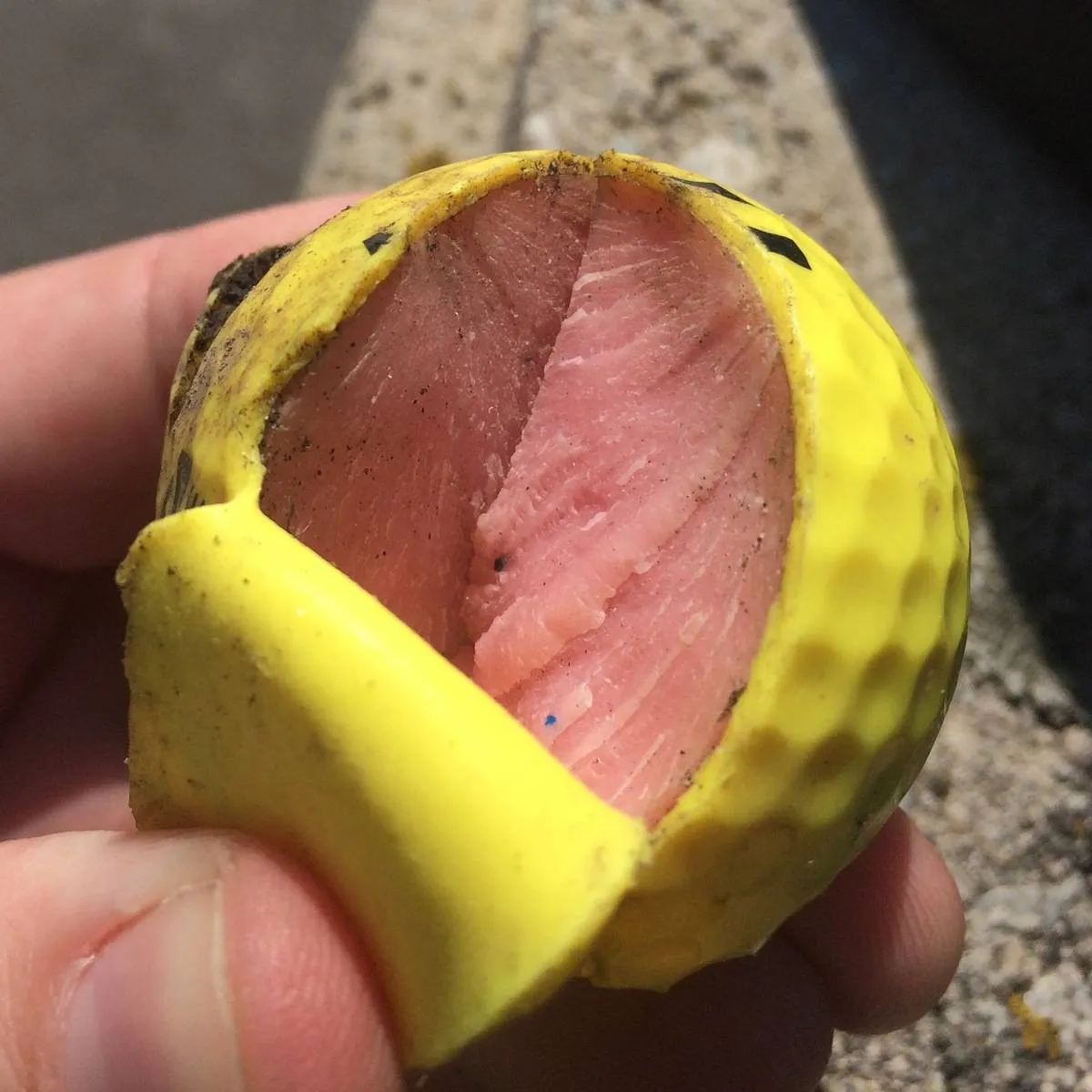 inside of golf ball looks like meat