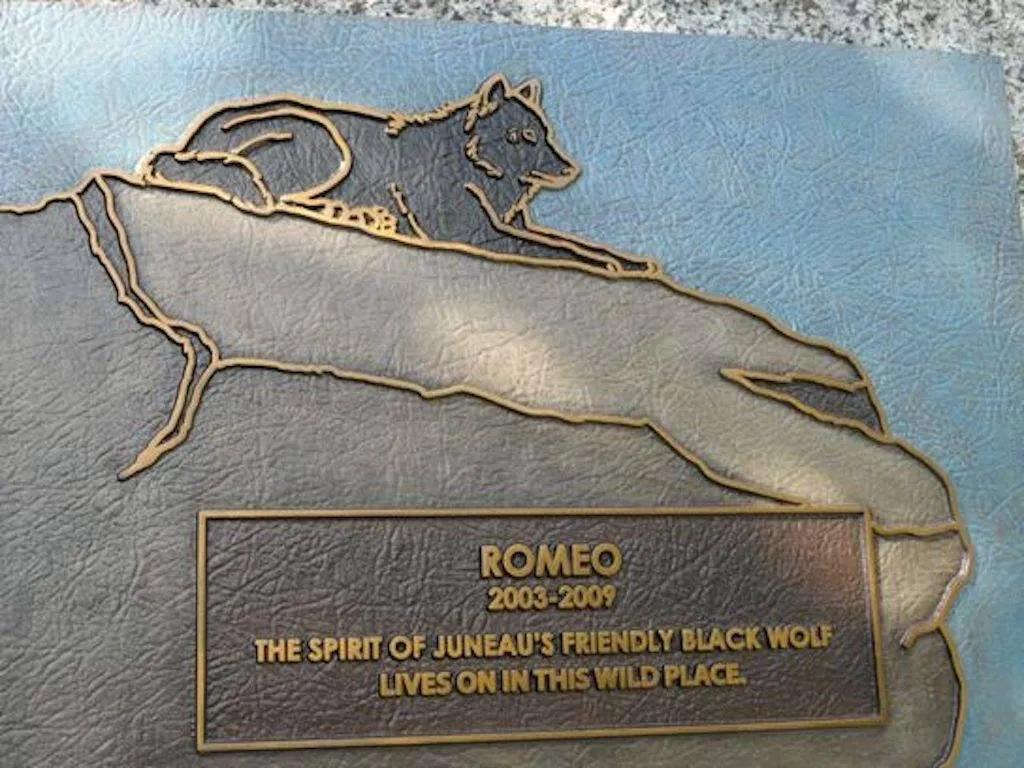 A plaque commemorates Romeo the wolf.