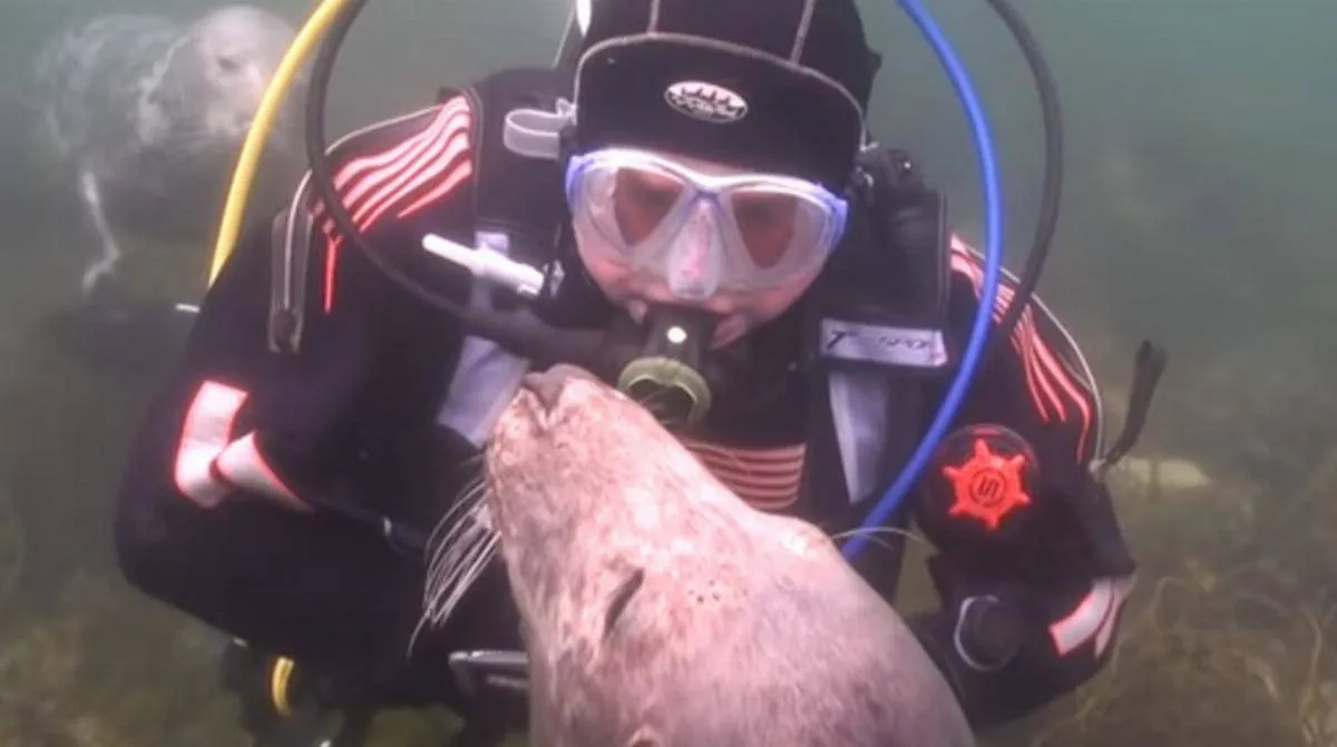 scuba-seal-encounter-3-78278