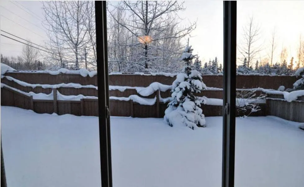 Pam Aus's snowy yard is seen though a window.