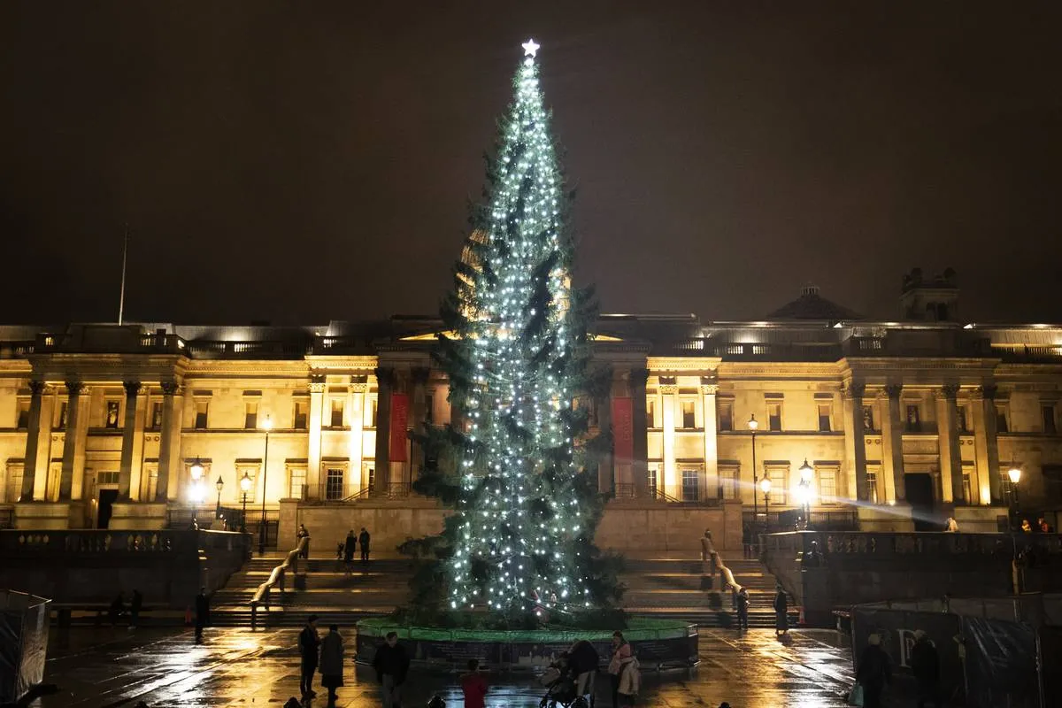Christmas Tree In Trafalgar Square Is A Thank You