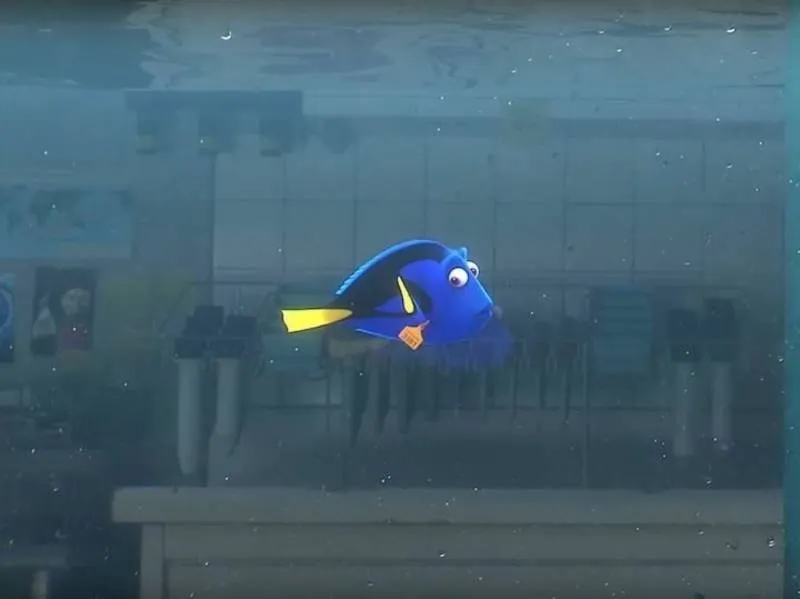 finding-dory