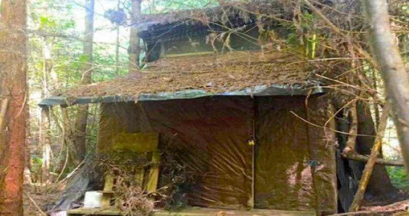 Hidden In The Trees Was A Mysterious Cabin