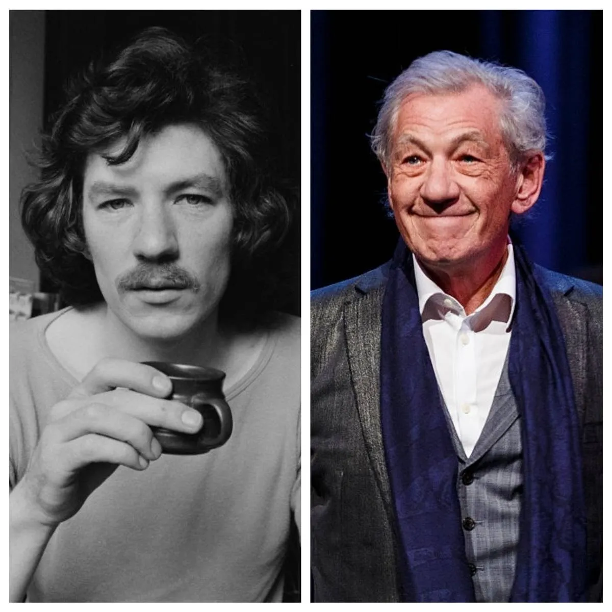 Picture of Ian McKellen 