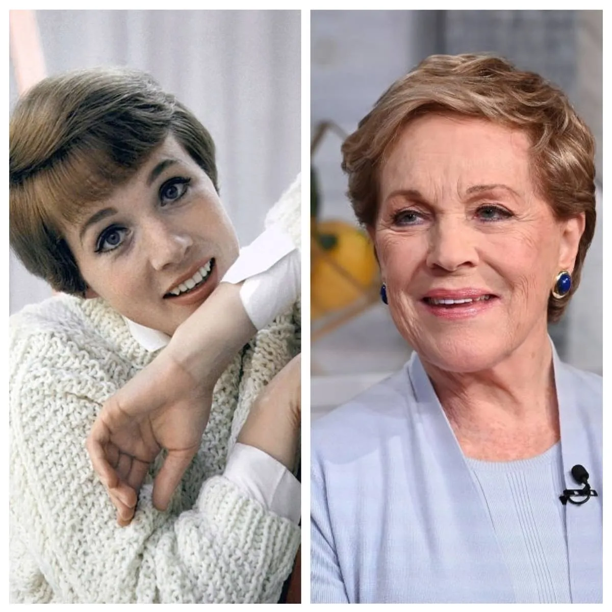 Picture of Julie Andrews 
