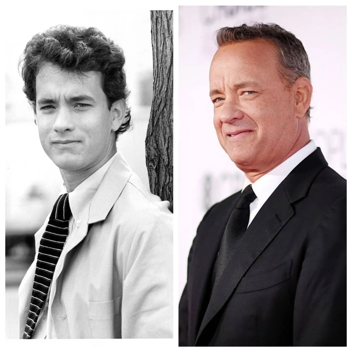 Picture of Tom Hanks 