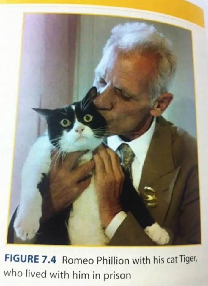 Romeo Phillion's cat, who lived with him in prison, has wide, terrified eyes.