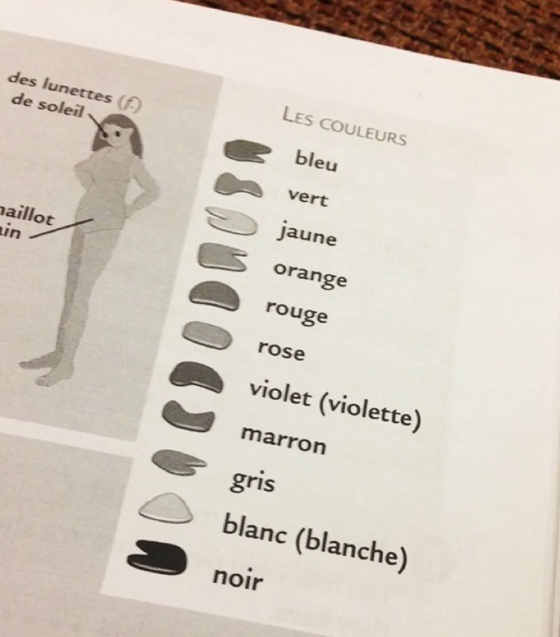 A French textbook labels the colors, but it was printed in black and white.
