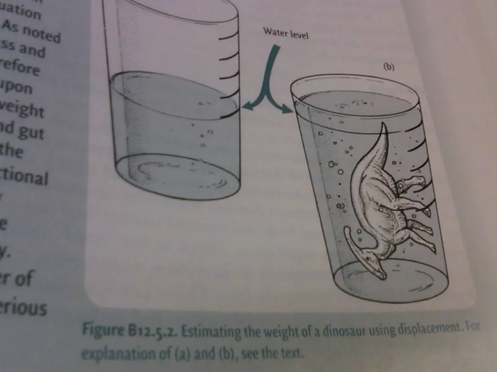 A textbook shows how to weigh dinosaurs by putting it in a glass of water.