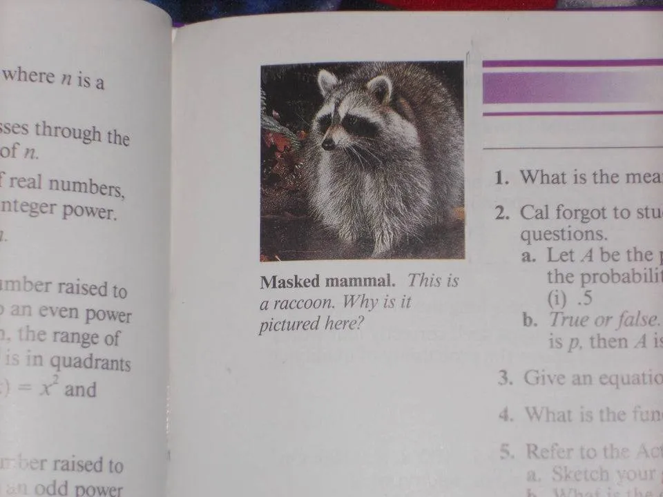 In a math textbook, a picture of a raccoon is captioned, 