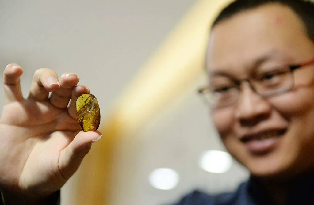 xing lida holding his amber fossil
