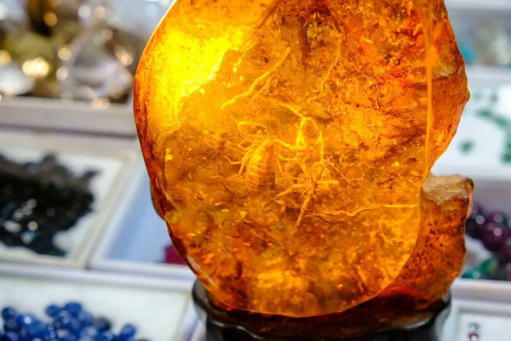 amber fossil with a scorpion