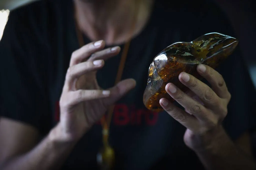 a man holding an amber fossil