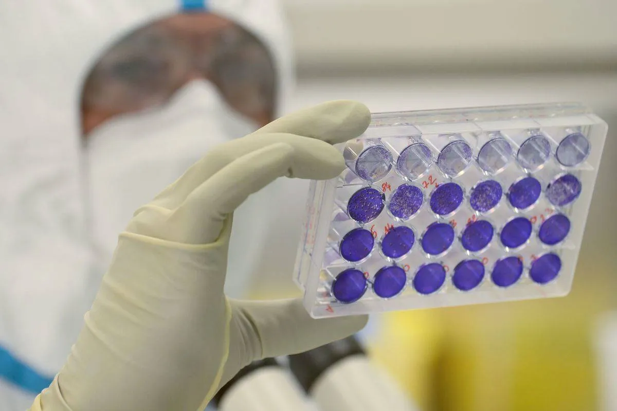 A laboratory engineer and virologist examines viral cells in a container.