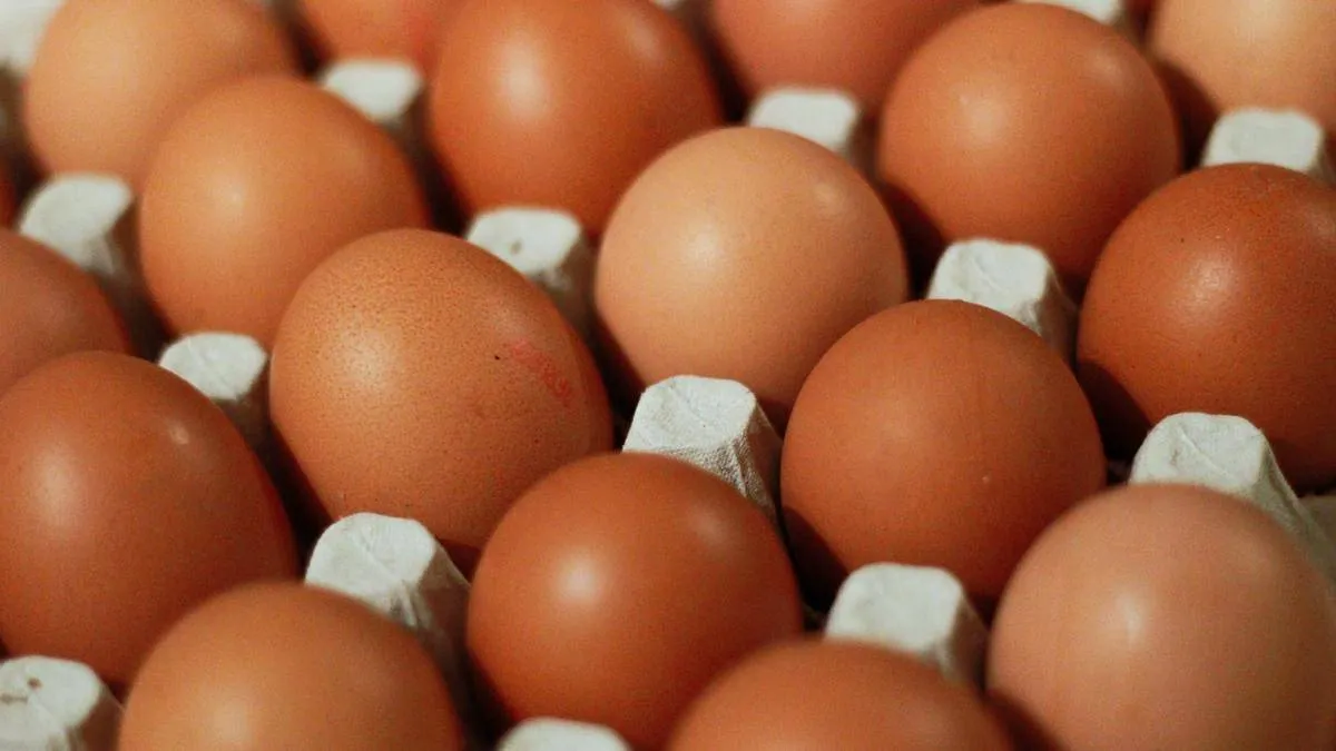 Brown eggs in an open carton.