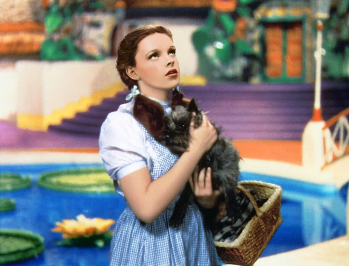 Dorothy and Toto in the Wizard of Oz