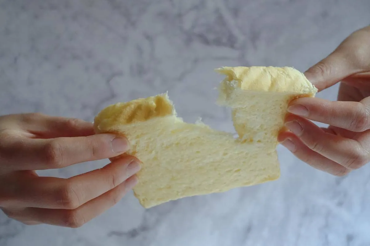 Person holding slice of bread