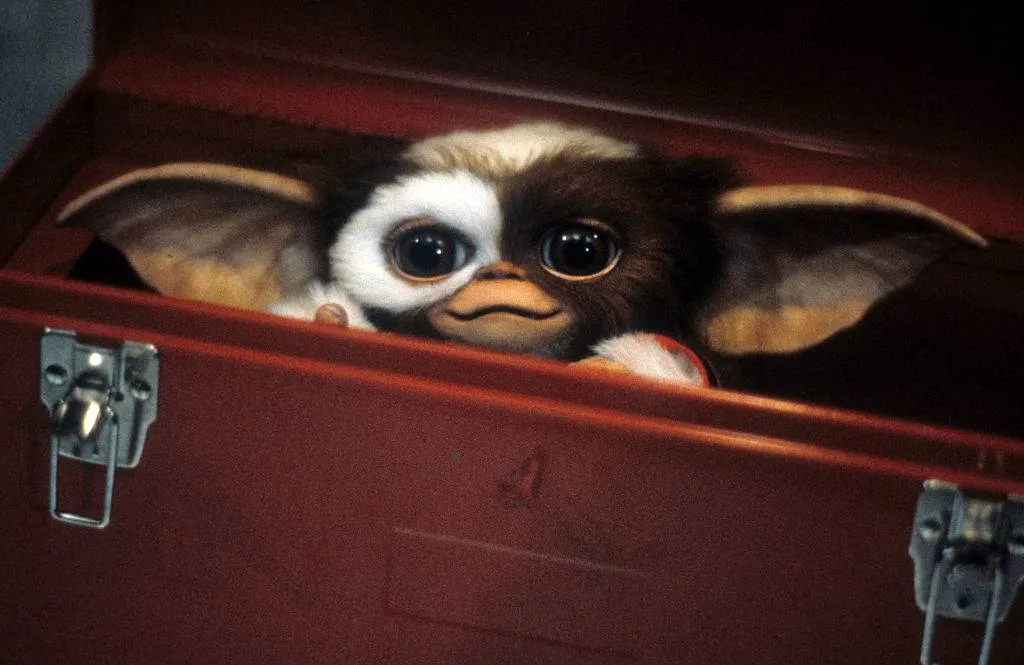 Cute little furry thingy hides in a tool box in a scene from the film 'Gremlins'