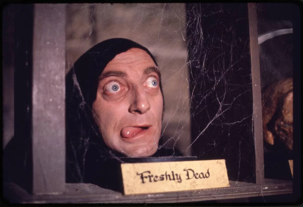 marty feldman