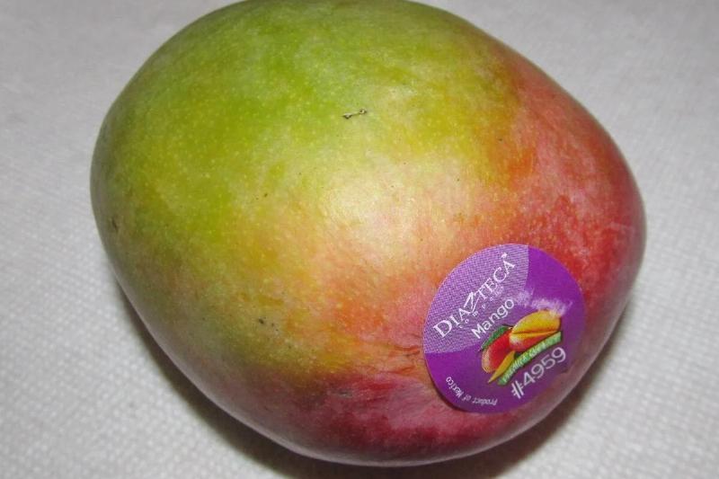 DiAzteca_Mango_(35925115702) DiAzteca_Mango_(35925115702)